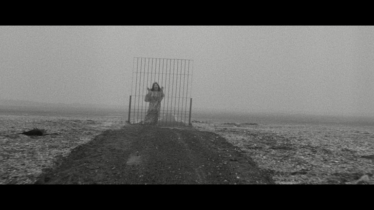 Screen capture from The Pornographers