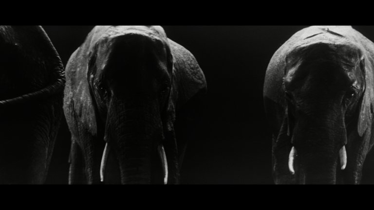 Screen capture from The Elephant Man