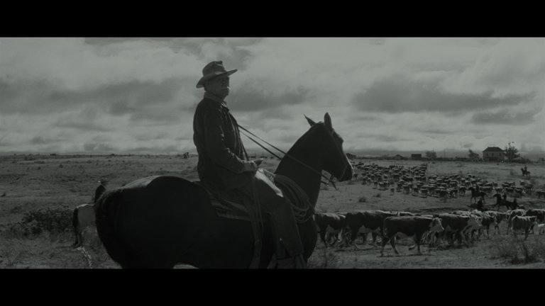 Screen capture from Hud