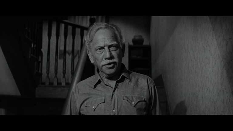 Screen capture from Hud