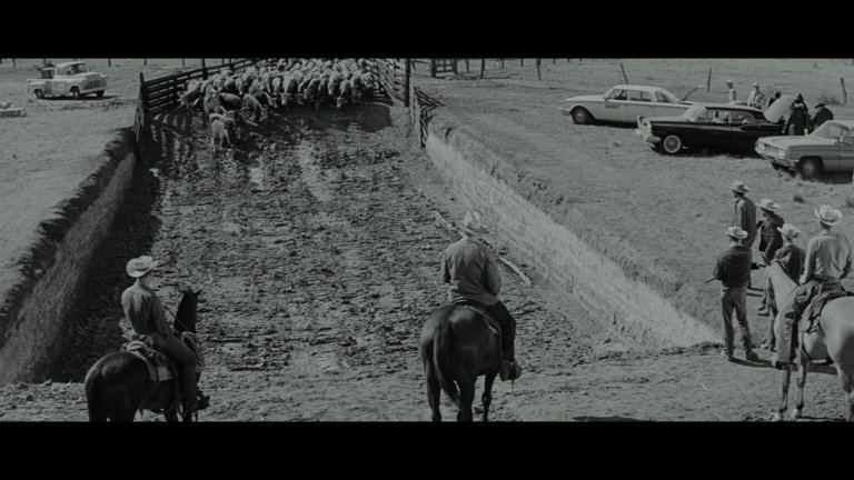 Screen capture from Hud