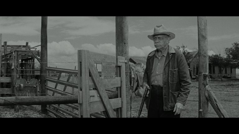 Screen capture from Hud