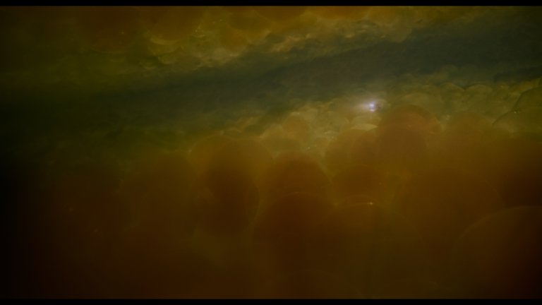 Screen capture from Innerspace
