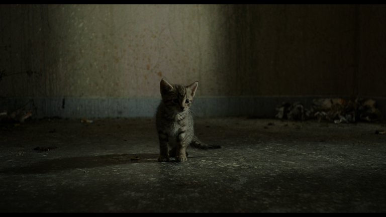 Screen capture from Trainspotting