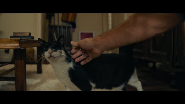 Screen capture from The Secret Agent