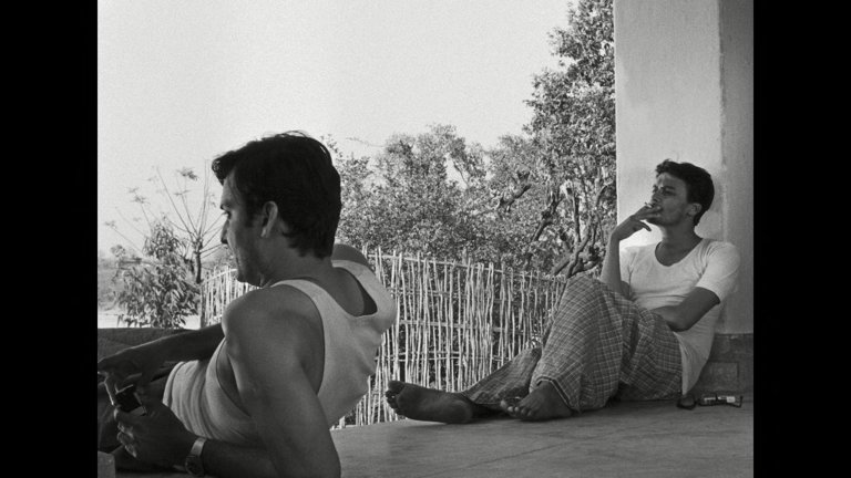 Screen capture from Days and Nights in the Forest
