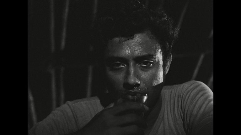 Screen capture from Days and Nights in the Forest