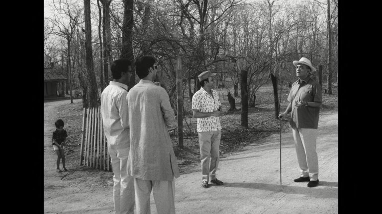 Screen capture from Days and Nights in the Forest