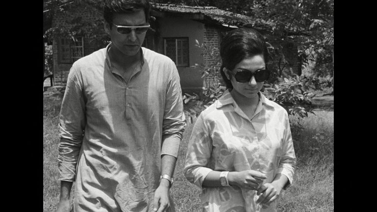 Screen capture from Days and Nights in the Forest