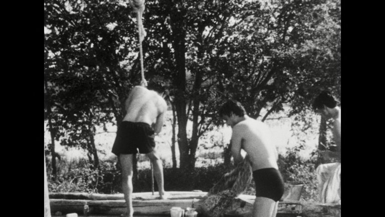Screen capture from Days and Nights in the Forest