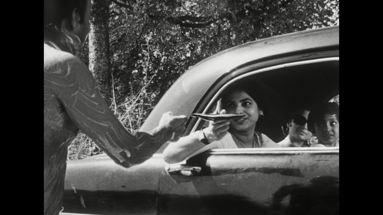 Screen capture from Days and Nights in the Forest