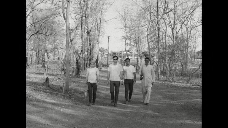 Screen capture from Days and Nights in the Forest