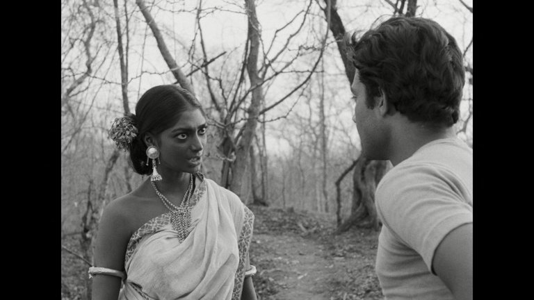 Screen capture from Days and Nights in the Forest