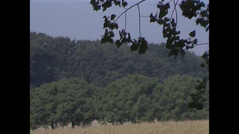 Screen capture from Histoire(s) du cinéma and other works