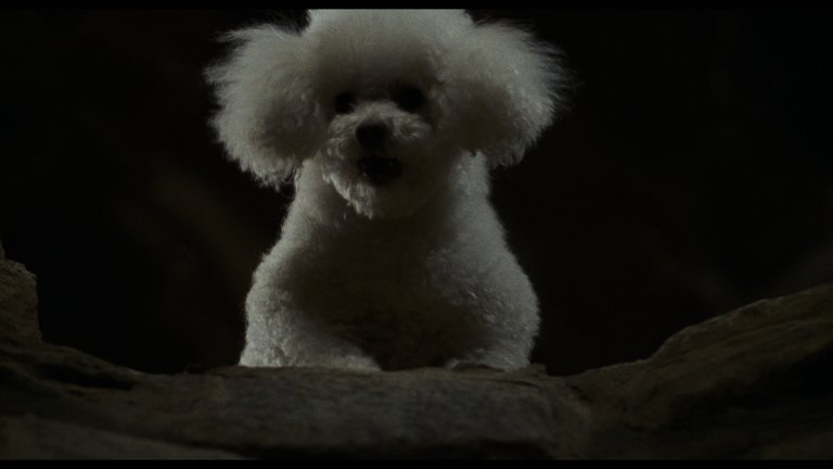 Screen capture from The Silence of the Lambs