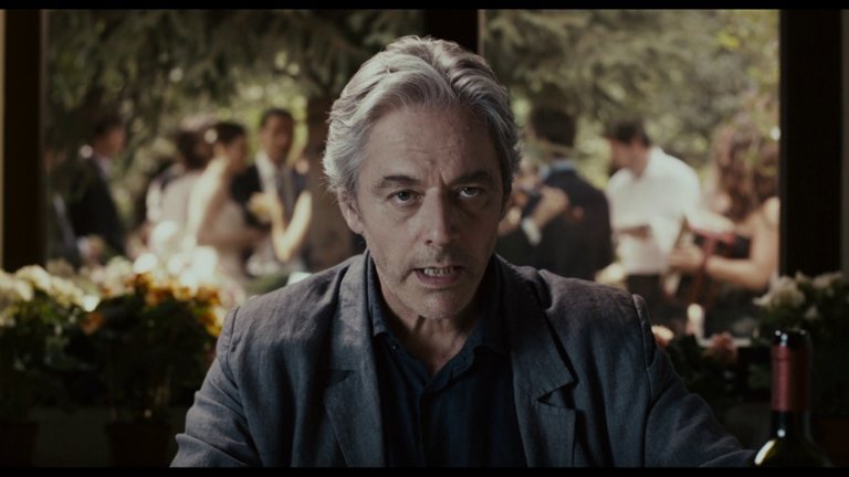 Screen capture from Certified Copy