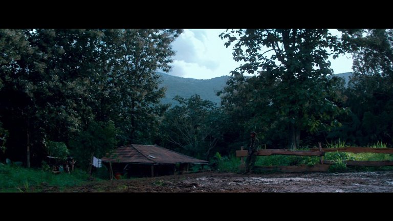 Screen capture from Che