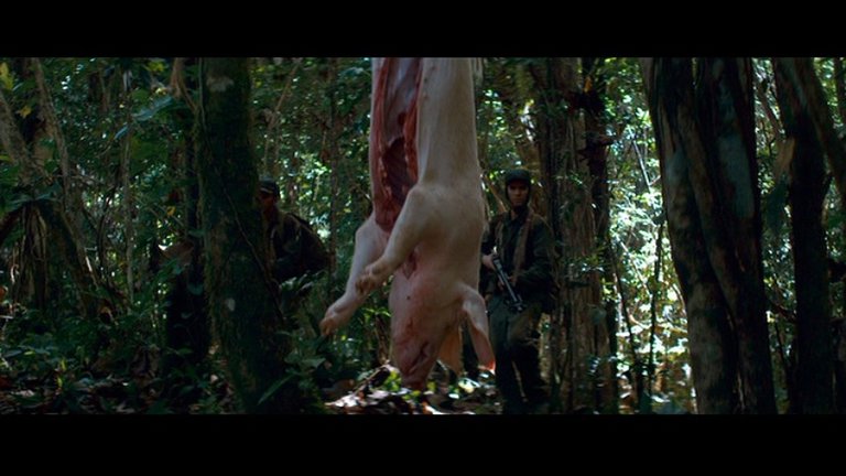 Screen capture from Che