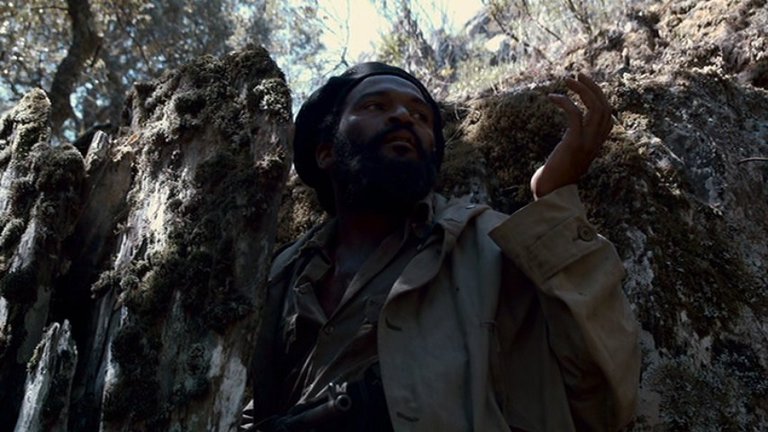 Screen capture from Che