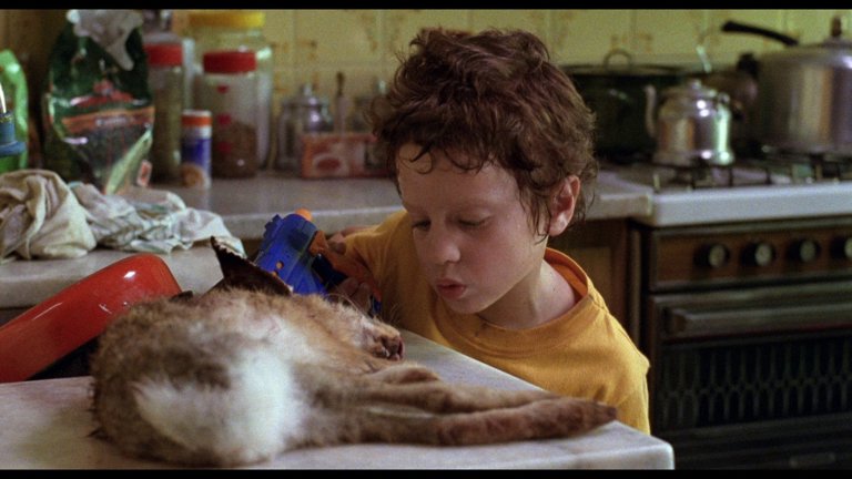 Screen capture from La Ciénaga