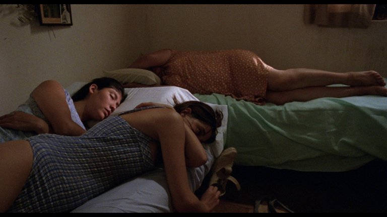 Screen capture from La Ciénaga