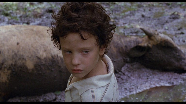 Screen capture from La Ciénaga