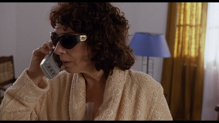 Screen capture from La Ciénaga