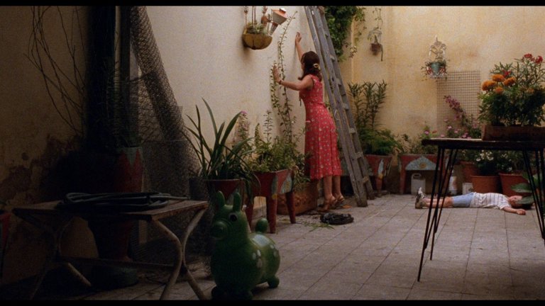 Screen capture from La Ciénaga