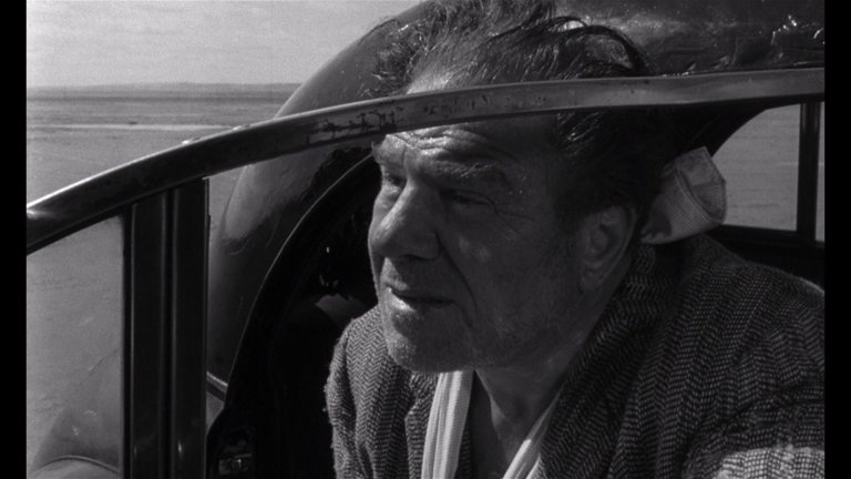 Screen capture from Cul-de-sac