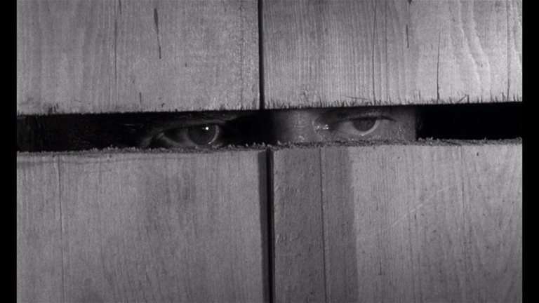 Screen capture from Cul-de-sac
