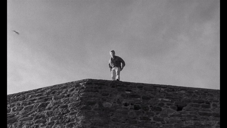 Screen capture from Cul-de-sac
