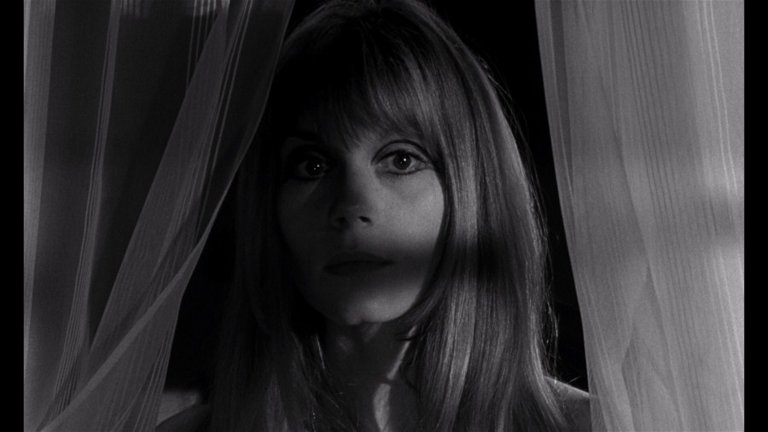 Screen capture from Cul-de-sac