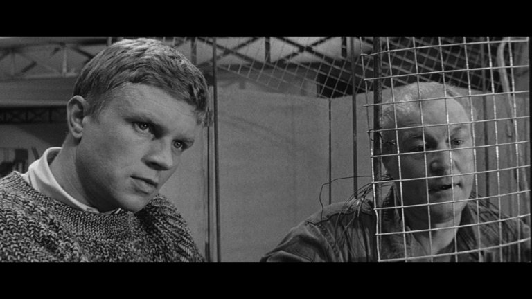 Screen capture from Sundays and Cybèle