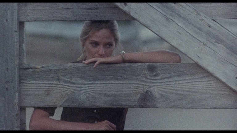 Screen capture from Desert Hearts