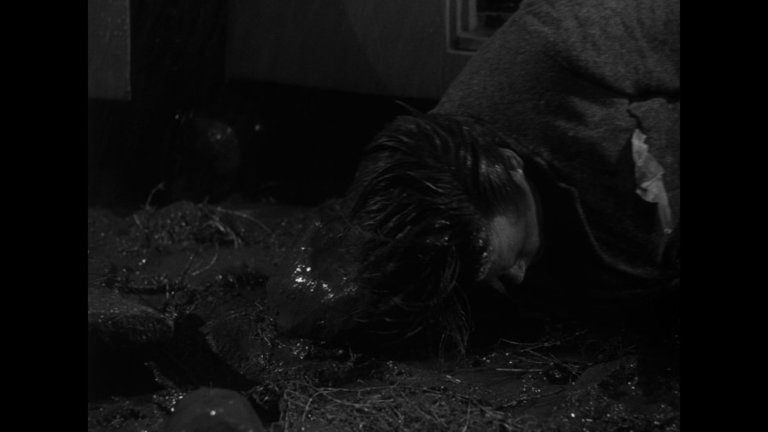 Screen capture from Detour