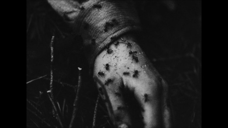 Screen capture from Diamonds of the Night