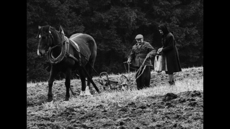 Screen capture from Diamonds of the Night