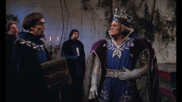 Screen capture from Donkey Skin