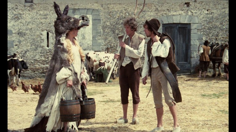 Screen capture from Donkey Skin