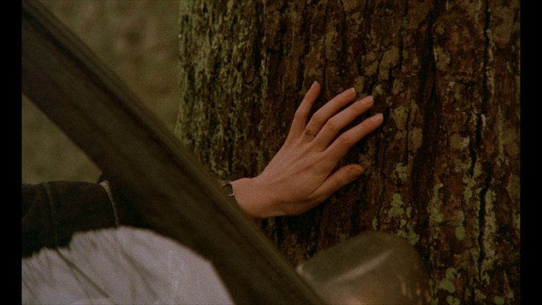 Screen capture from The Double Life of Véronique