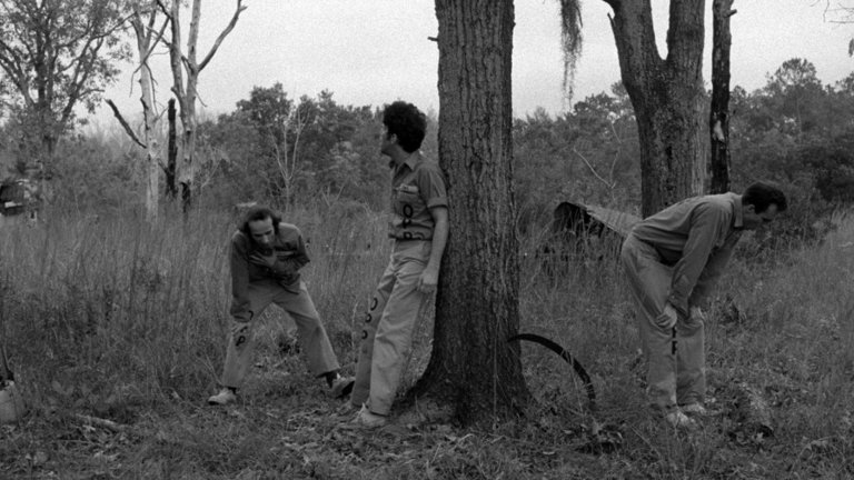 Screen capture from Down by Law