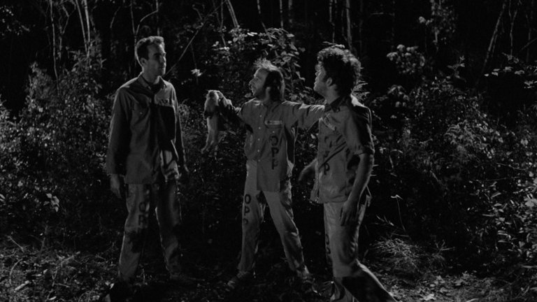 Screen capture from Down by Law