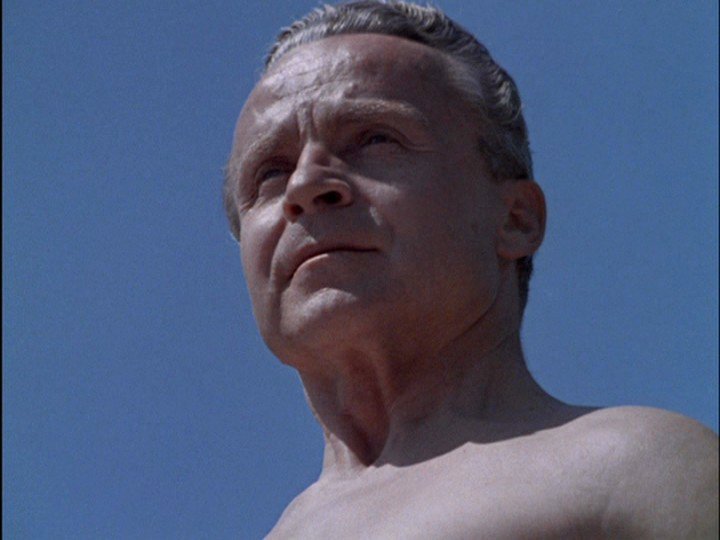 Screen capture from Dusan Makavejev—Free Radical