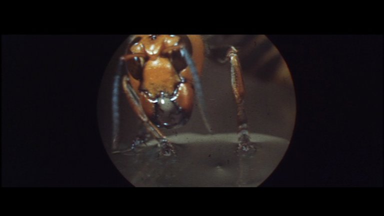 Screen capture from When Horror Came to Shochiku