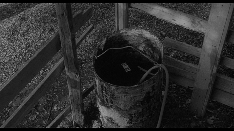 Screen capture from L'eclisse