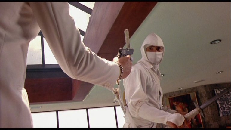 Screen capture from Enter the Ninja