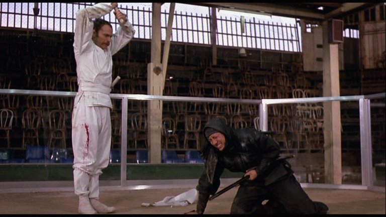 Screen capture from Enter the Ninja