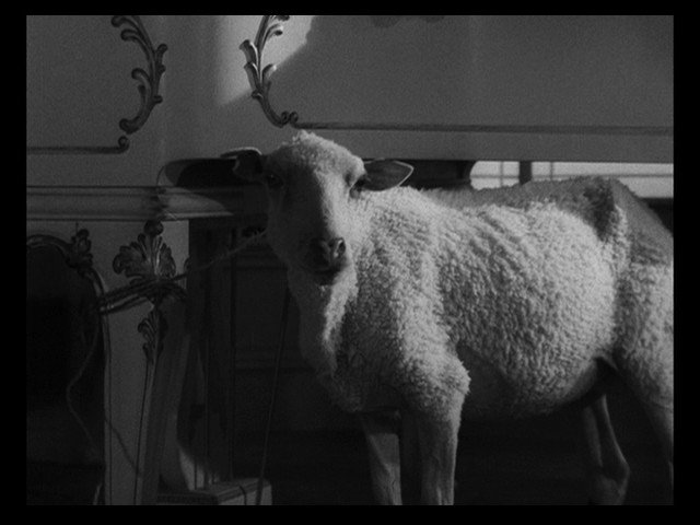 Screen capture from The Exterminating Angel