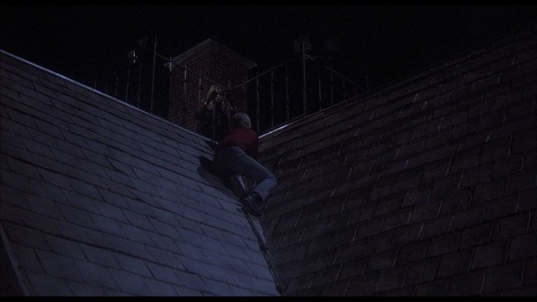 Screen capture from Flowers in the Attic