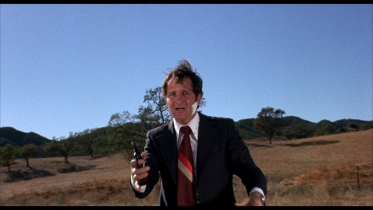 Screen capture from Foxy Brown